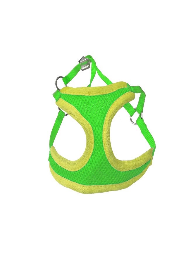 Pups&Pets سترة مبطنة ناعمة قابلة للتعديل من Pups&Pets للكلاب الصغيرة، والسلالات الصغيرة، والجراء (أخضر) - Image 2